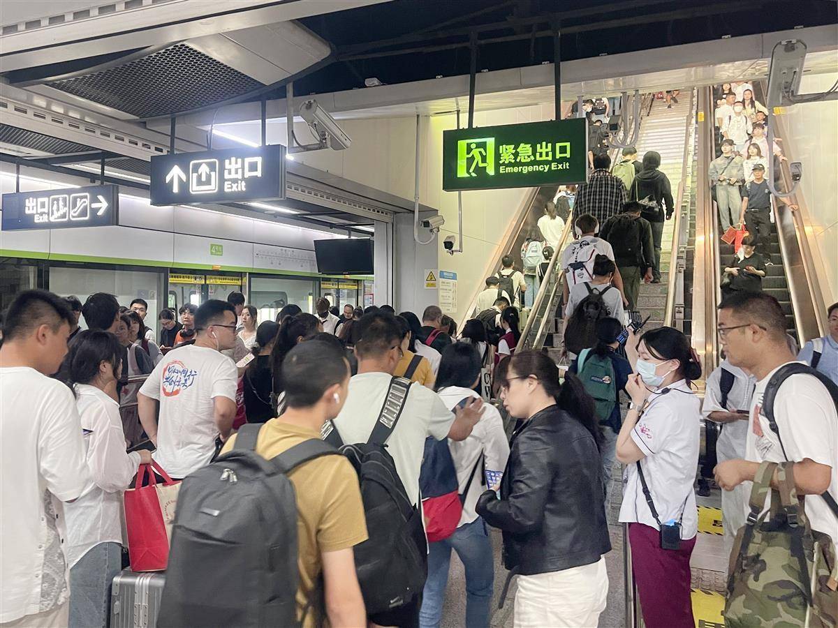 摇钱树网站开奖结果